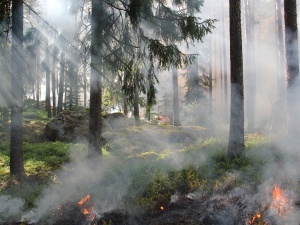 Alert RCB dla mieszkańców kilku województw 