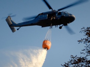 Płonie otulina Puszczy Białowieskiej. Do gaszenia pożaru skierowano śmigłowiec Black Hawk