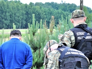 Zatrzymany na wschodniej granicy. Jest komunikat Straży Granicznej