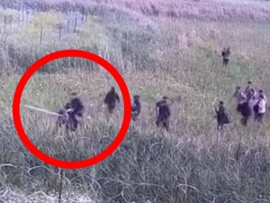 Atak na polską granicę. Straż Graniczna pokazała nagranie