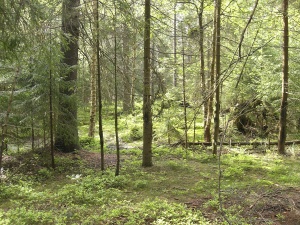 Niemieckie media: modele klimatyczne są niepoprawne