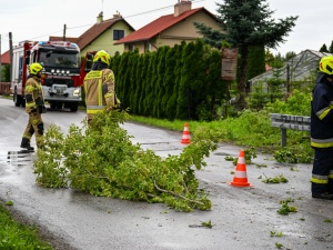 Dramat na Podkarpaciu. Wielu mieszkańców bez prądu 