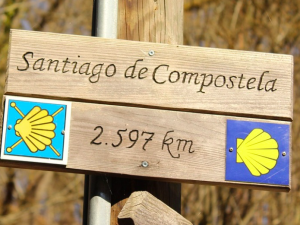 „Tutaj odradza się nadzieja”. W Santiago de Compostela przybywa pątników 