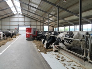 Chiny blokują import przeżuwaczy z Polski. Pekin obawia się choroby 