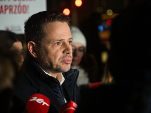 Tyle kosztują drzewa z Niemiec sadzone w Warszawie