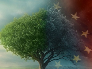 WRDS w Katowicach: Polska powinna być inicjatorem procesu przewartościowania unijnej polityki klimatyczno-energetycznej