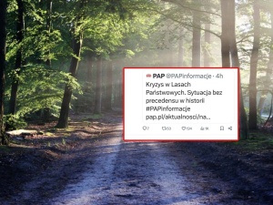 PAP usunęła wpis na temat potęznej straty Lasów Państwowych