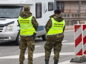 W Polsce nie ma pryszczycy? Wiceminister uspokaja