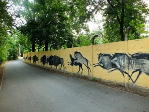 Krytycznie zagrożony. Komunikat wrocławskiego zoo