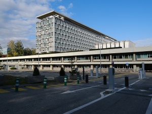 Ekspert Światowej Organizacji Zdrowia miała promować zoofilię i BDSM