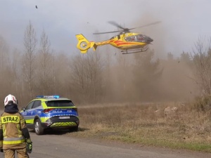 14-latka przygniótł konar. Jego stan jest ciężki