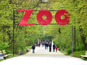 Będzie nam Ciebie brakować. Smutny komunikat warszawskiego zoo