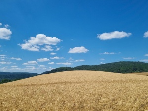 IMGW wydał komunikat. Oto co nas czeka