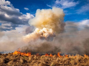 Pożar w Biebrzańskim Parku Narodowym. Użyto śmigłowców