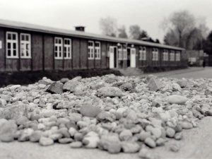 Na bloku 24 przyłapuję ludzi jedzących ciepłe jeszcze pośladki