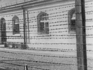 Niemcy wahają się, czy umieścić polski napis w Dachau. Skomplikowana sprawa
