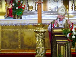 Abp Jędraszewski: smok chce pożerać dzieci, czego przejawem stała się zbrodnia w Oleśnicy [video]