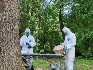 Odkryto szczątki 42 ofiar we wsi Puźniki na Ukrainie