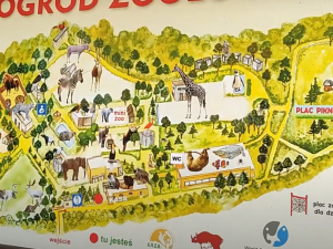 Przeszły częściową amputację. Dramat w płockim zoo