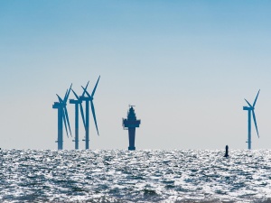 Holandia odkłada przetargi na morskie farmy wiatrowe