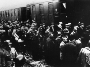 Pierwszy transport do Auschwitz miał miejsce 14 czerwca 1940 roku. Przyjechało nim 728 Polaków