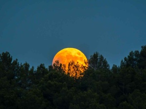 Unikalne zjawisko astronomiczne. Warto się przygotować 