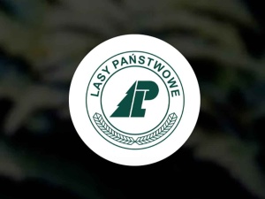 Dyrektor generalny Lasów Państwowych odwołany