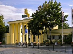 Wielka radość we wrocławskim zoo. Wydano komunikat