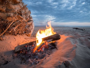 Muzyka, hałas, rozpalanie ogniska. Co jest dozwolone na plaży?