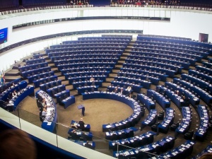 Polscy pracownicy społeczni na specjalnej sesji Parlamentu Europejskiego