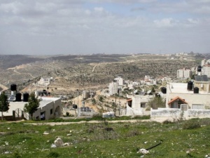 Brutalny atak izraelski osadników na Palestyńczyków podczas zbioru oliwek
