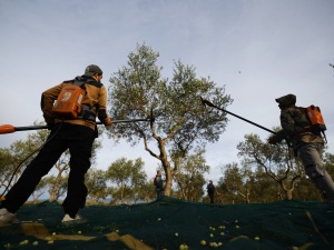 Copa-Cogeca krytycznie o propozycjach KE ws. WPR: Są nie do przyjęcia