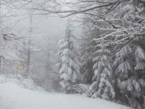 Gdzie spadnie śnieg? IMGW ostrzega