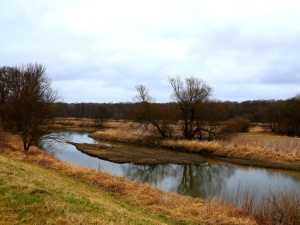 Niemcy rozczarowani wetem prezydenta Nawrockiego ws. parku narodowego