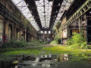 Zielony Ład to ekonomiczne harakiri. Oto dlaczego