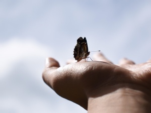 Marcin Bąk: „Wolność to niewola”