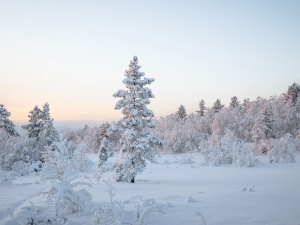 Zima uderzy na południu Polski. Ostrzeżenia dla mieszkańców