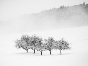 Prognoza pogody na weekend. Oto co nas czeka