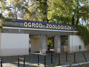 Komunikat poznańskiego zoo. W planach niezwykła inwestycja