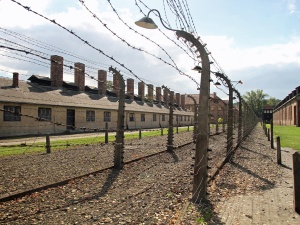 Prawnik chce pro bono reprezentować organizacje pozywające niemieckie media za „polskie obozy”