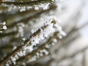 Nowa prognoza pogody na święta. Oto co nas czeka