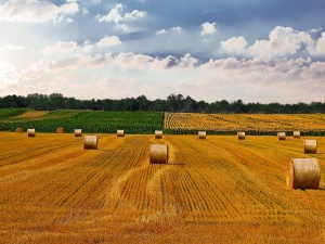 Czarne chmury nad umową UE-Mercosur