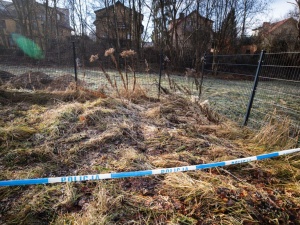 Nowe informacje ws. zabójstwa 11-latki w Jeleniej Górze. Sąd przesłucha 12-letnią dziewczynkę