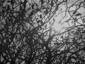 Gdański IPN przypomina Grudzień ’70. Poruszający spot wideo w 55. rocznicę masakry robotników