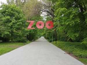 Warszawskie zoo przekazało radosną nowinę