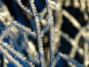 Pogoda na Święta: zdecydowane ochłodzenie
