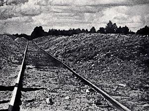 Degermanizacja Holokaustu