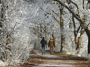 Marznące opady deszczu powodujące gołoledź w 13 województwach. Komunikat IMGW