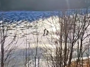 Niepokojące nagranie z Czech. Policja publikuje film ku przestrodze