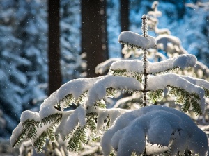 Uwaga na zamiecie śnieżne i silny wiatr. Komunikat IMGW